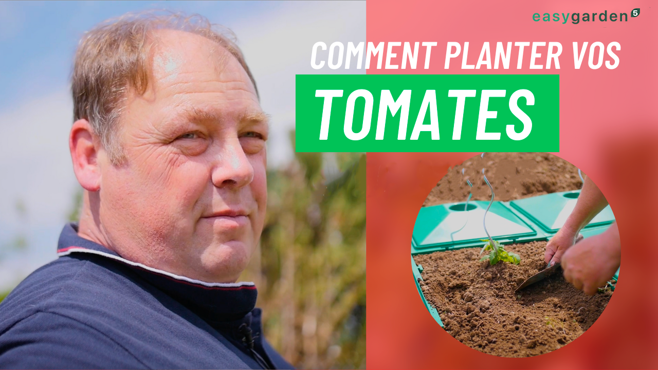 Charger la vidéo: Comment planter vos tomates avec Ecolo5